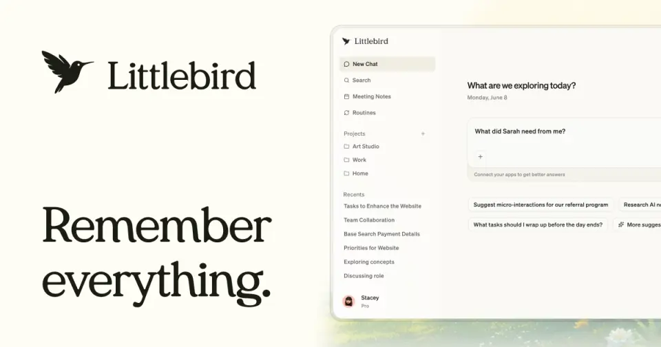 Littlebird, as pictured on littlebird.ai