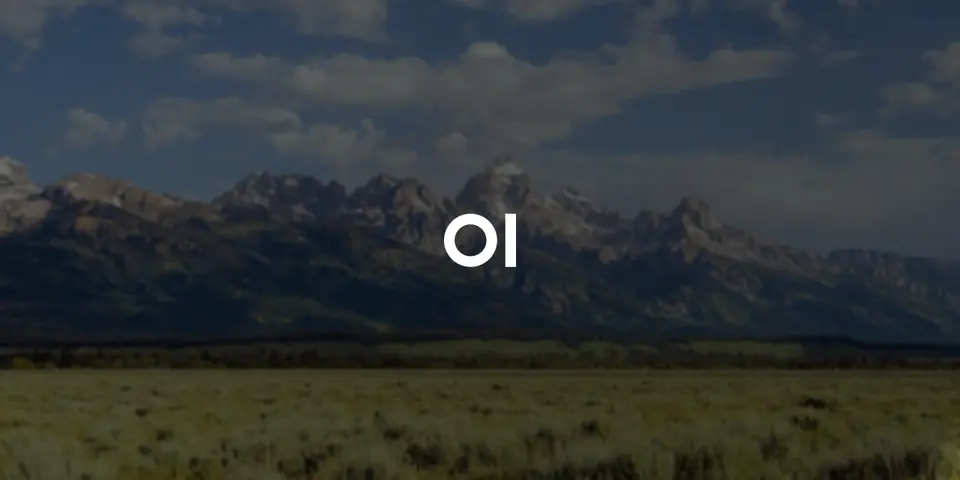 Open WebUI, as pictured on openwebui.com