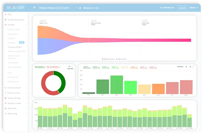 Seolyzer, as pictured on seolyzer.io