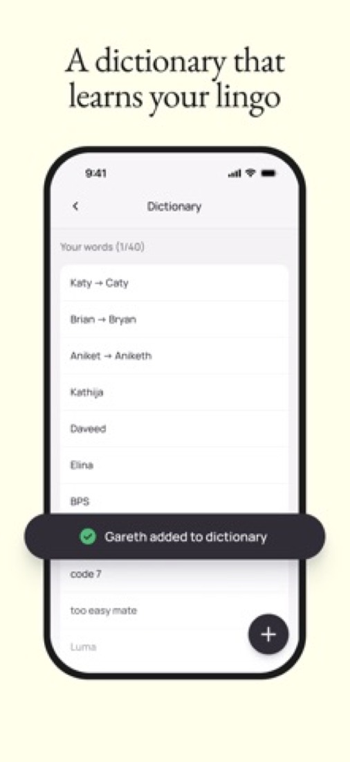 Wispr Flow on an iPhone: the personal dictionary of names and spellings.
