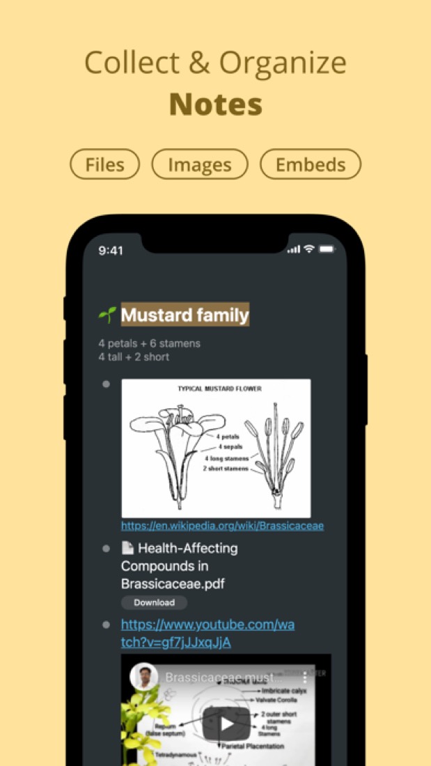 Workflowy on an iPhone: a note with a picture, a PDF and a video under it.